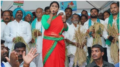 బంగారు తెలంగాణ కాదు...కేసీఆర్ పాలనలో బార్లు, బీర్ల తెలంగాణ: వైఎస్ షర్మిల ఫైర్