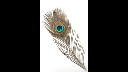 Good Luck : ಹೊಸ ವರ್ಷದಂದು ಈ ವಸ್ತುಗಳನ್ನು ಮನೆಗೆ ತಂದರೆ ಸದಾ ಸಂತೋಷ