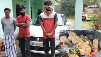 Crime News| വനംവകുപ്പ് ഉദ്യോഗസ്ഥരെ ഇടിച്ച് തെറിപ്പിക്കാന്‍ ശ്രമം; ചന്ദനമര മോഷ്ടാക്കളെ സാഹസികമായ പിടികൂടി