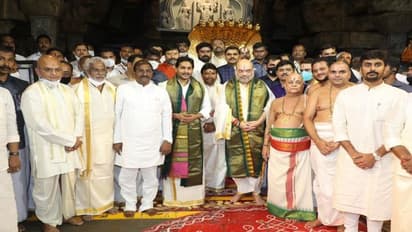 Southern Zonal Council: జల వివాదాలతో పాటు ఏపీ అంశాలను ప్రస్తావించనున్న జగన్