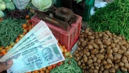 WPI inflation:பிப்ரவரி மொத்தவிலைப் பணவீக்கம் 13 சதவீதத்துக்கும் மேல் அதிகரி்ப்பு