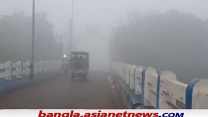 Fog: মঙ্গলবার ভোর থেকেই ঘনকুয়াশায় ঢেকেছে একাধিক জেলা, সমস্যার মুখোমুখি সড়ক ও রেলপথ