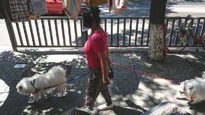 ഉടമയെ കൊവിഡ് ക്വാറന്റൈനിലേക്ക് മാറ്റി, വളർത്തുനായയെ ആരോ​ഗ്യപ്രവർത്തകൻ അടിച്ചുകൊന്നു, രൂക്ഷപ്രതികരണം