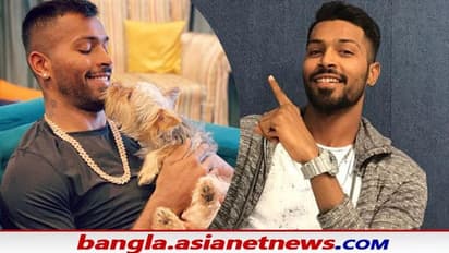 Hardik Pandeya- 'নিজেই গিয়ে কিনেছিলাম' ৫ কোটির ঘড়ি কান্ডে অপপ্রচারের দাবি তুলেছেন হার্দিক পান্ডিয়া