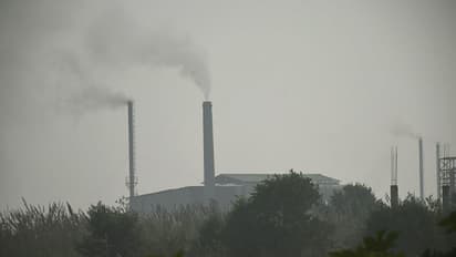 Supreme Court mocks Yogi Adityanath government after it blames Pakistan for air pollution