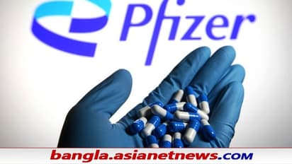 Pfizer Covid Pill: করোনাবিশ্বে আশার আলো ফাইজারের কোভিড বড়ি, ওমিক্রনের বিরুদ্ধে কার্যকর ওষুধ