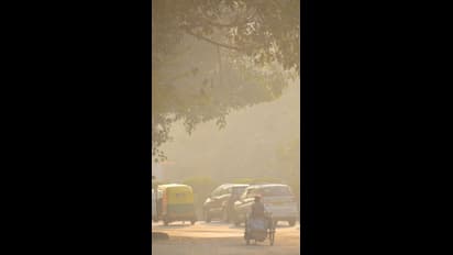 Every country fails to meet WHO's air quality standards in 2021: Report