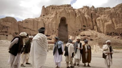 Taliban करेगा गांजा की खेती, Australia की फार्मा कंपनी से डील का दावा