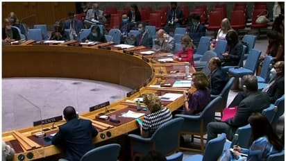 യുഎന്‍ രക്ഷാസമിതിയില്‍ പാകിസ്ഥാനെതിരെ നിലപാട് കടുപ്പിച്ച് ഇന്ത്യ, പൗരന്മാർക്ക് മുന്നറിയിപ്പുമായി അമേരിക്ക