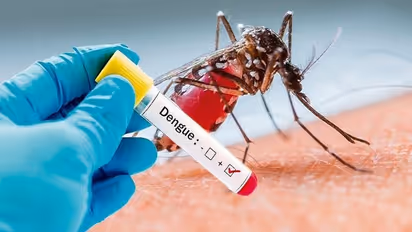 Dengue Fever : ഡെങ്കിപ്പനി ബാധിച്ച് രണ്ട് കുട്ടികളുടെ മരണം; ശ്രദ്ധിക്കേണ്ട ലക്ഷണങ്ങള്‍...