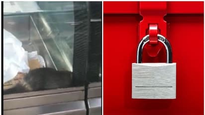 കോഴിക്കോട് ബേക്കറിയിലെ പലഹാരം സൂക്ഷിച്ച ചില്ല് കൂട്ടിൽ ജീവനുള്ള എലി: ബേക്കറി പൂട്ടിച്ചു