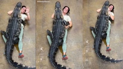 ചീങ്കണ്ണിയെ ആലിംഗനം ചെയ്ത് യുവതി; അവസാനം സംഭവിച്ചത്...