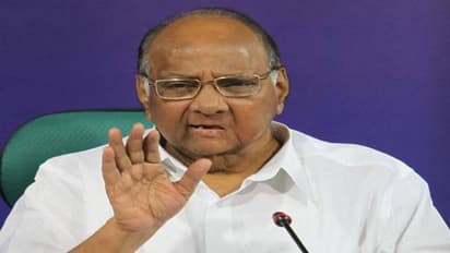 'Akhilesh Yadav is not at fault': NCP chief Sharad Pawar on UP Election result