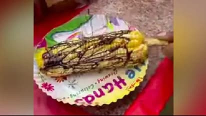 Viral Video| സ്ട്രീറ്റ് ഫുഡില് വിചിത്രമായ പരീക്ഷണം; വൈറലായി വീഡിയോ