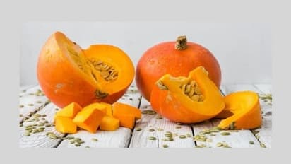 Aleksandra Stan yalangoch Torrent porno filmlar Qizil qalpoqcha