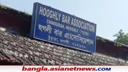 Lawyer harassment - আইনজীবী নিগ্রহের অভিযোগে উত্তাল চুঁচুড়া, প্রতিবাদী কর্মবিরতিতে স্তব্ধ আদালত
