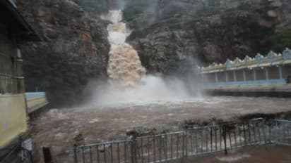Tirupati Rains: తిరుపతిలో కుండపోత...చెరువులను తలపిస్తున్న రోడ్లు, జలపాతంలా తిరుమల కొండ (వీడియో)