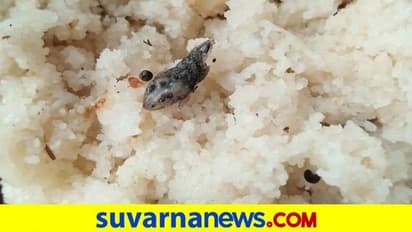 Yadgir| ಹಾಸ್ಟೆಲ್ನಲ್ಲಿ ತಯಾರಿಸಿದ ಉಪ್ಪಿಟ್ಟಿನಲ್ಲಿ ಸತ್ತ ಹಾವು: 5 ವಿದ್ಯಾರ್ಥಿಗಳು ಅಸ್ವಸ್ಥ