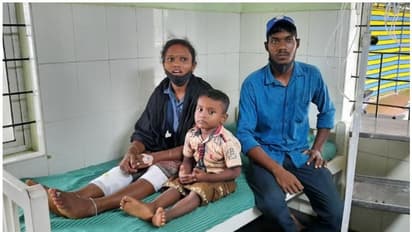 Tiger| മുള്ക്കാട്ടില് എന്തോ അനക്കം, കണ്ണെടുക്കും മുമ്പ് മുന്നില് കടുവ!; കുടുംബം രക്ഷപ്പെട്ടത് തലനാരിഴക്ക്