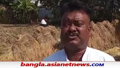 Farm Laws Repealed: আনন্দে ধান ঝাড়তে নেমে পড়লেন TMC মন্ত্রী, কী বললেন সিঙ্গুরের বেচারাম