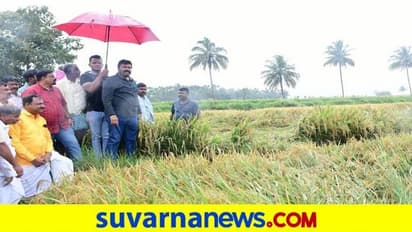 Karnataka Rain| ಬೆಳೆ ಹಾನಿ ಸಮೀಕ್ಷೆ ಮುಗಿದ ಕೂಡಲೇ ಪರಿಹಾರ: ಬಿಸಿಪಾ