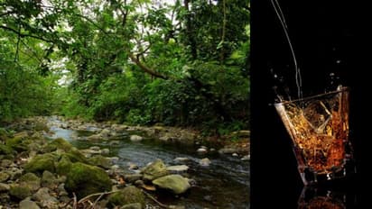 Water pollution | അരുവിയിലെ ജലത്തില്‍ ബിയറും പഞ്ചസാരയും; വിചിത്ര സംഭവത്തിന് പിന്നിലെ കാരണം ഇതാണ്