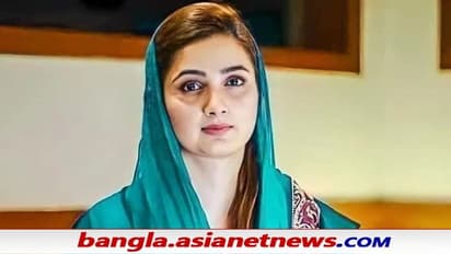 Pakistan: বিরোধী মহিলা বিধায়কের অশ্লীল ভিডিও ভাইরাল, পিছনে কি ইমরানের হাত