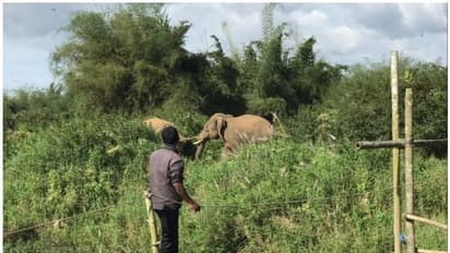 Elephant attack| ബൈക്ക് യാത്രക്കാര്ക്കുനേരെ കാട്ടാനയുടെ ആക്രമണം; മാത്തൂര്വയല് വീണ്ടും ഭീതിയില്