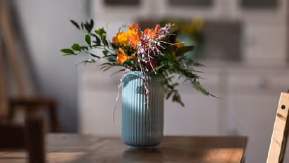 Vastu Tips: ফুল বা গাছ দিয়ে ঘর সজ্জান, এই কয়টি ভুলে হতে পারে বাস্তুদোষ