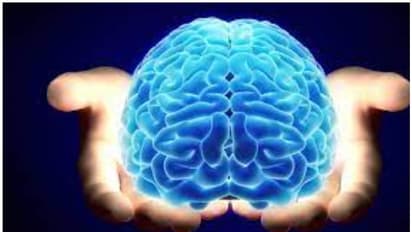 Brain: மனித உடலில் வியப்பளிக்கும் உறுப்பு எது? அதுதாங்க நம்ம ஹெட் ஆபீஸ்..அதிசய மூளை பற்றிய சில சுவாரஸ்ய பதிவு
