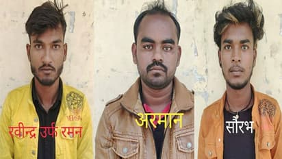 UP News: तीन कछुआ तस्करों को UP STF ने किया गिरफ्तार, 258 कछुए हुए बरामद