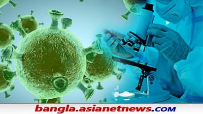 Virus Alert: চিনে ওঁত পেতে আরও ১৮টি হাই রিস্ক ভাইরাস, কাবু করে দিতে পারে মানব সভ্যতাকে