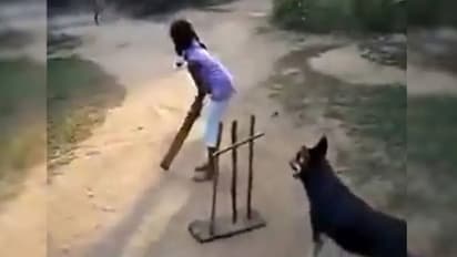 Viral Video| ക്രിക്കറ്റ് കളിക്കുന്ന ജര്‍മന്‍ ഷെപ്പേര്‍ഡ്; വീഡിയോ പങ്കുവച്ച് സച്ചിൻ ടെൻഡുൽക്കർ