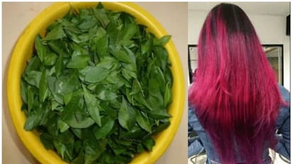 ব্রাউন থেকে বার্গেন্ডি- হেনা ব্যবহার করেই মিলবে পছন্দমত হেয়ার কালার, জেনে নিন কি কি মেশাবেন