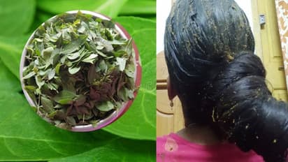 తెల్ల జుట్టు నల్లగా అవుతుంది.. హెన్నాలో ఇవి కలిపి పెట్టండి