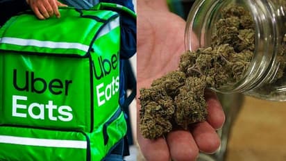 Uber| ഒടുവില്‍ ഊബറും കഞ്ചാവ് കച്ചവടത്തിലേക്ക്,  കാനഡയില്‍ ഇനി ഊബര്‍ ആപ്പ് വഴി കഞ്ചാവും!