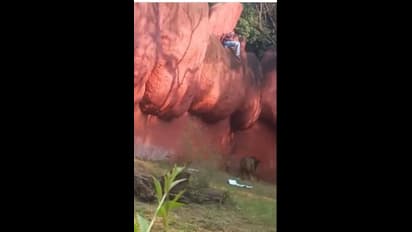 Hyderabad | இப்படியுமா தற்கொலை முயற்சி பண்ணுவாங்க? ; சிங்கத்தின் குகையில் குதித்த இளைஞர் ; வைரல் வீடியோ உள்ளே