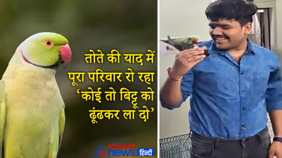 अनूठा प्रेम: तोता गुम हुआ तो मालिक ने अखबार में दिया विज्ञापन, जो ढूंढकर लाएगा उसे मिलेंगे 15 हजार..