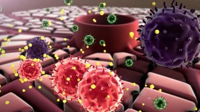 ആസ്പര്ജില്ലസ് ലെന്റുലസ്; രാജ്യത്ത് പുതിയ തരം ഫംഗസ് ബാധ ബാധിച്ച് രണ്ട് മരണം