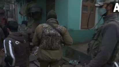 3 Terrorist Killed: ভূস্বর্গে এনকাউন্টার, কাশ্মীরি পণ্ডিত হত্যায় যুক্ত টিআরএফ জঙ্গি নিকেশ