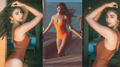 Pooja Hegde does scuba diving in a monokini, finds 'Nemo' [PHOTOS]