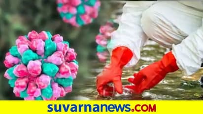 Norovirus Alert In Mangaluru: ಕೊಡಗು, ಕರಾವಳಿಗೆ ವೈರಸ್ ಭೀತಿ, ಲಕ್ಷಣಗಳು ಹೀಗಿರುತ್ತೆ