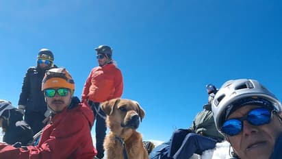 5000 അടി ഉയരമുള്ള അഗ്നിപര്‍വ്വതത്തില്‍ ഒറ്റപ്പെട്ട നായയെ രക്ഷിക്കാന്‍ 30 അംഗ പര്‍വ്വതാരോഹകരുടെ സംഘം