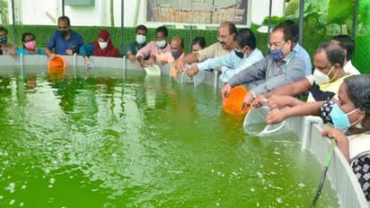 23,500 ലിറ്റർ ജലസംഭരണിയിൽ നൂതന മത്സ്യകൃഷി; എട്ടുമാസം കൊണ്ട് ചുരുങ്ങിയത് 1.35 ലക്ഷം വരുമാനം നേടുക ലക്ഷ്യം