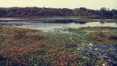 Belagavi: ಇಬ್ಬರು ಮಕ್ಕಳೊಂದಿಗೆ ಕೆರೆಗೆ ಹಾರಿ ಪ್ರಾಣಬಿಟ್ಟ ತಾಯಿ: ಕಾರಣ?