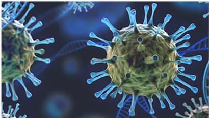 Omicron variant: Centre issues revised guidelines for arrivals from 12 nations in 'at risk' category