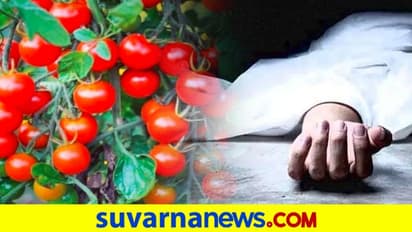 Tomato Price Rises: ಟೊಮೇಟೊಗೆ ಇಬ್ಬರು ಬಲಿ