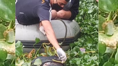 ചെങ്ങണ്ട പാലത്തിൽ നിന്ന് കായലിലേക്ക് ചാടിയ യുവാവിന്റെ മൃതദേഹം അഞ്ചാം ദിവസം കണ്ടെത്തി