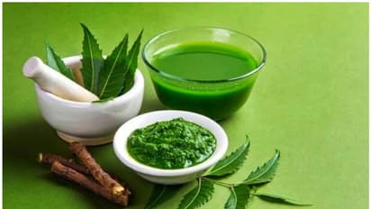 ಬೇವು, ಹಾಗಲಕಾಯಿ, ನೇರಳೆ ಹಣ್ಣಿನ ಜ್ಯೂಸ್ ಕುಡಿದ್ರೆ ಲಾಭ ಒಂದೆರಡಲ್ಲ!