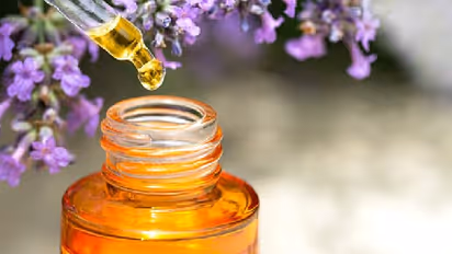 Lavender Oil: இரவில் தூக்கம் வரவில்லையா? இந்த எண்ணெயைப் பயன்படுத்திப் பாருங்கள் !
